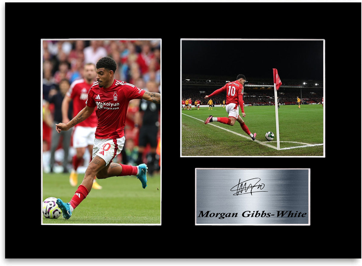 Morgan Gibbs White Nottingham Forest Player framed print by LJW Prints