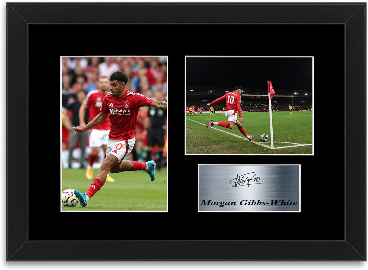 Morgan Gibbs White Nottingham Forest Player framed print by LJW Prints