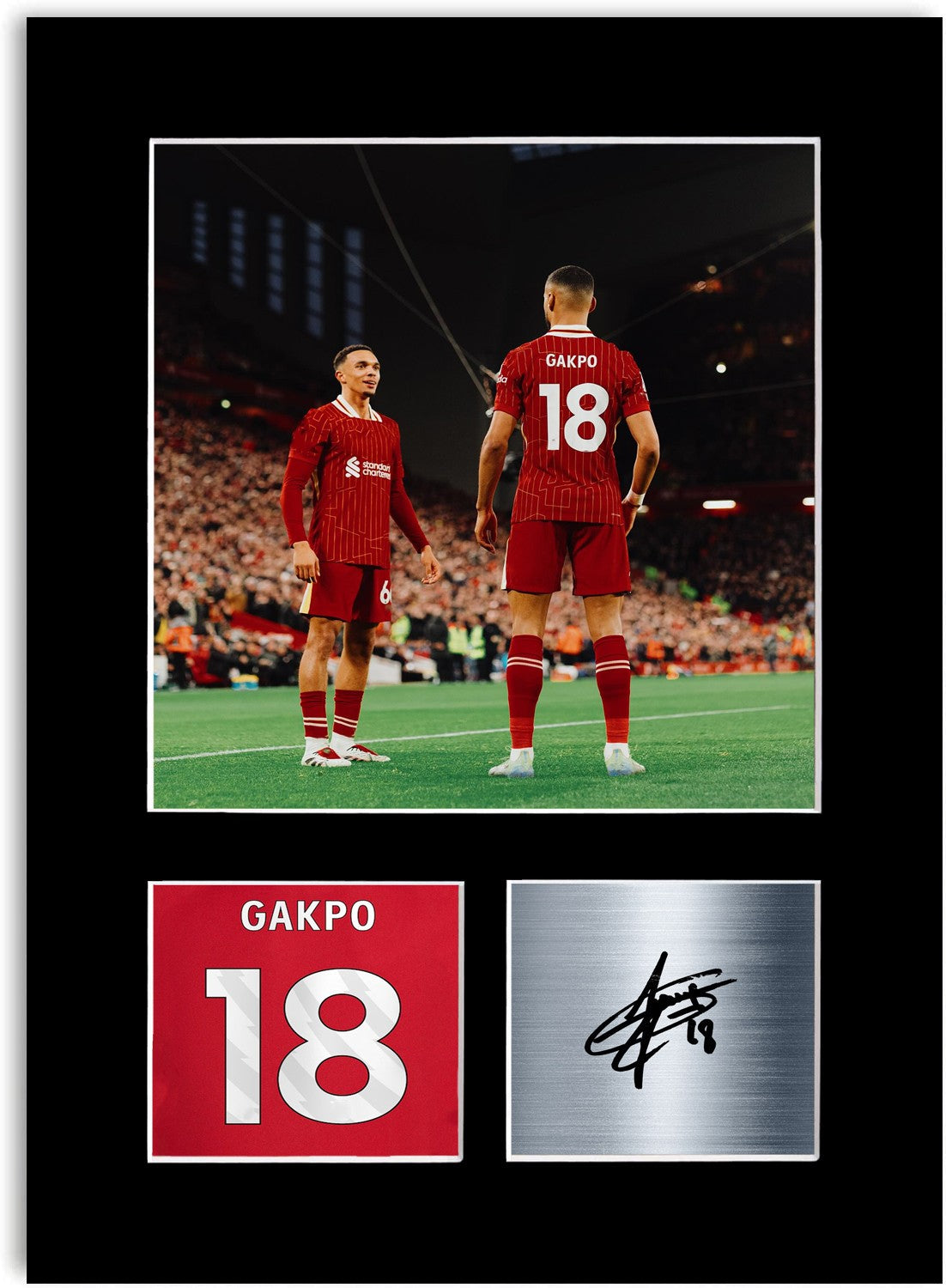 Cody Gakpo Liverpool Player Poster Signed Photo Display Mount Print A4