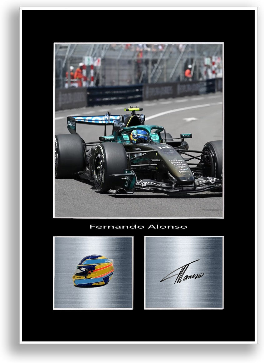 Fernando Alonso Driver Poster Signed A4 Print Wall Art Gift Idea for f1 Fans