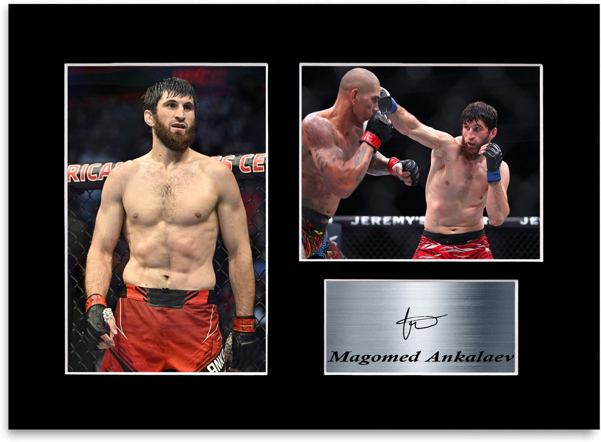 Magomed Ankalaev mma champion Printed Signed Autograph Photo Display Poster A4