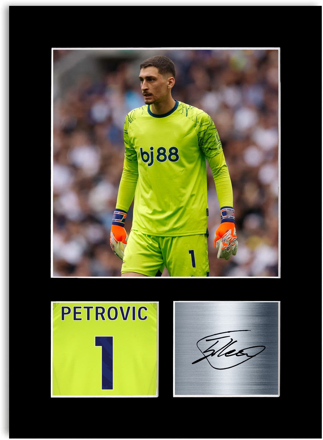 Djordje Petrovic Bournemouth A4 Printed Signed Photo Display Mount Poster Gift