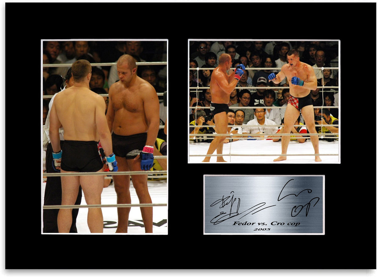 Fedor Emelianenko vs Cro cop mma Fighters mounted display by LJW Prints