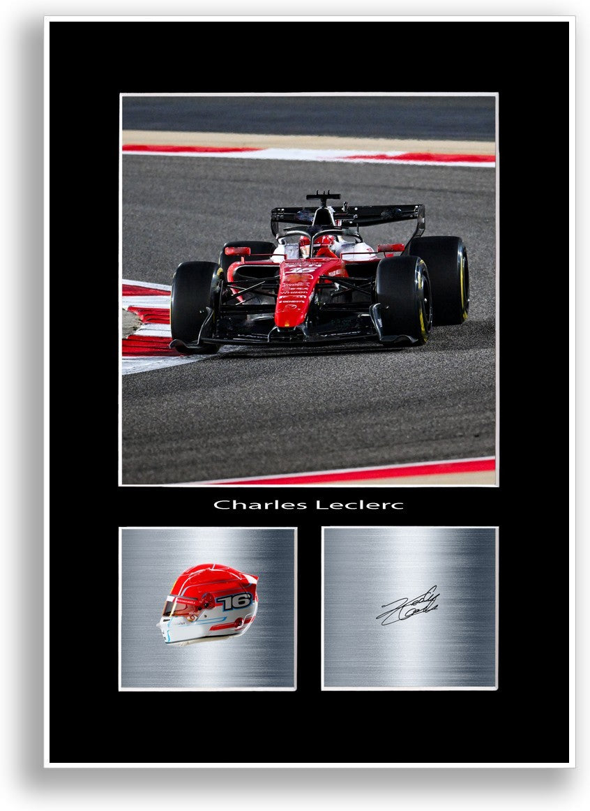 Charles Leclerc Driver Poster Signed A4 Print Wall Art Gift Idea for f1 Fans