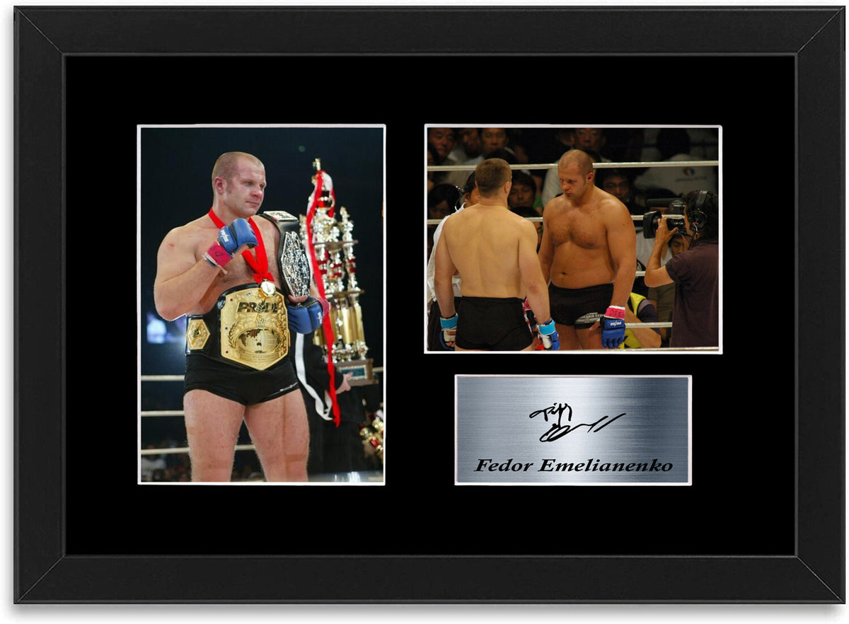 Fedor Emelianenko Pride FC MMA Champion framed print by LJW Prints